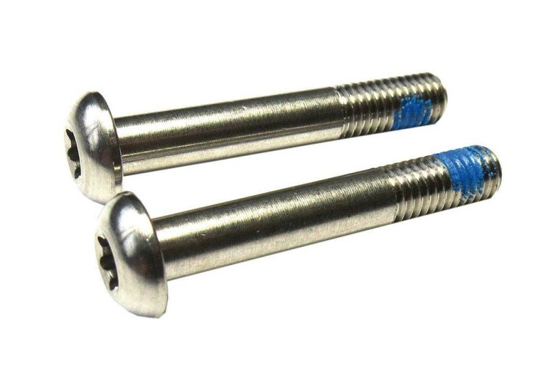 SRAM Schraubenset für Scheibenbremsen FMC T25 Edelstahl 32mm